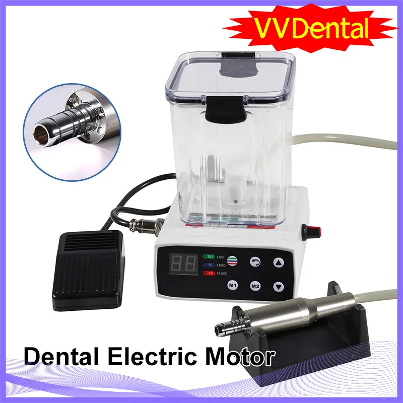 

2 Year Warranty Dental Electric Micro Motor 2 Hole/4 Hole With Water Tank Motor For 1:1 1:5 Low-speed Fiber Optic Handpiece