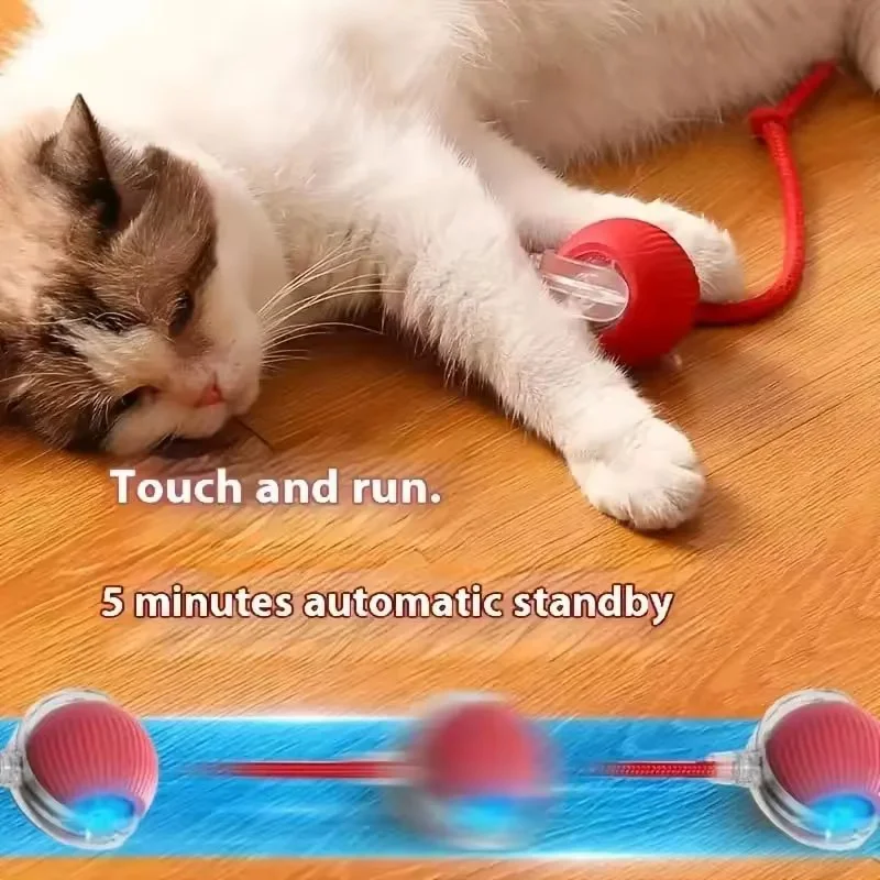Automatic Rolling Pet Toy Ball - đánh giá và giá Automatic Moving Dog Ball