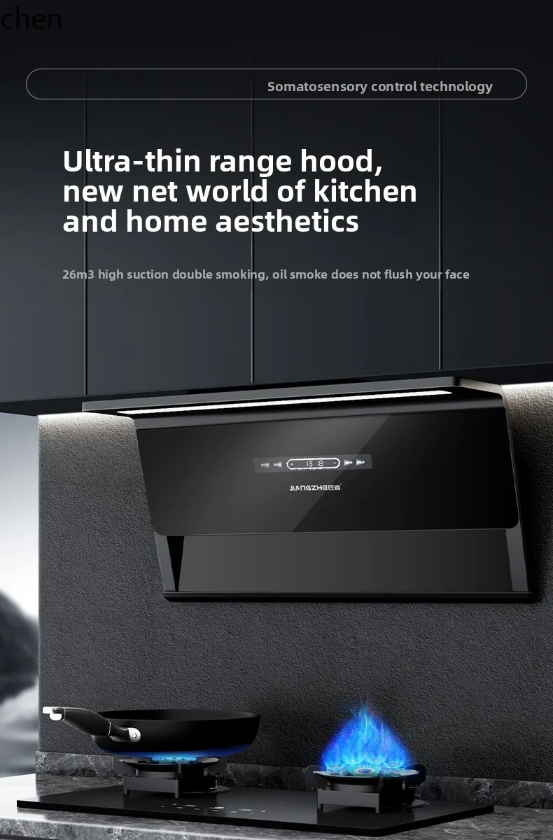 ZML household kitchen range hood large suction top side double suction natural liquefied coal gas stove