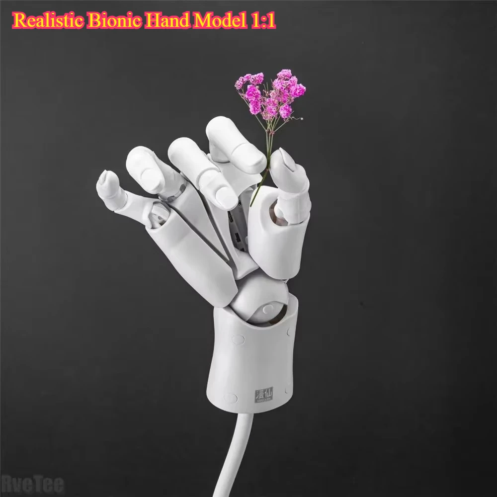 Realistic Bionic Hand Model 1:1 - Genuine Movable Finger Drawing Comic Art Props