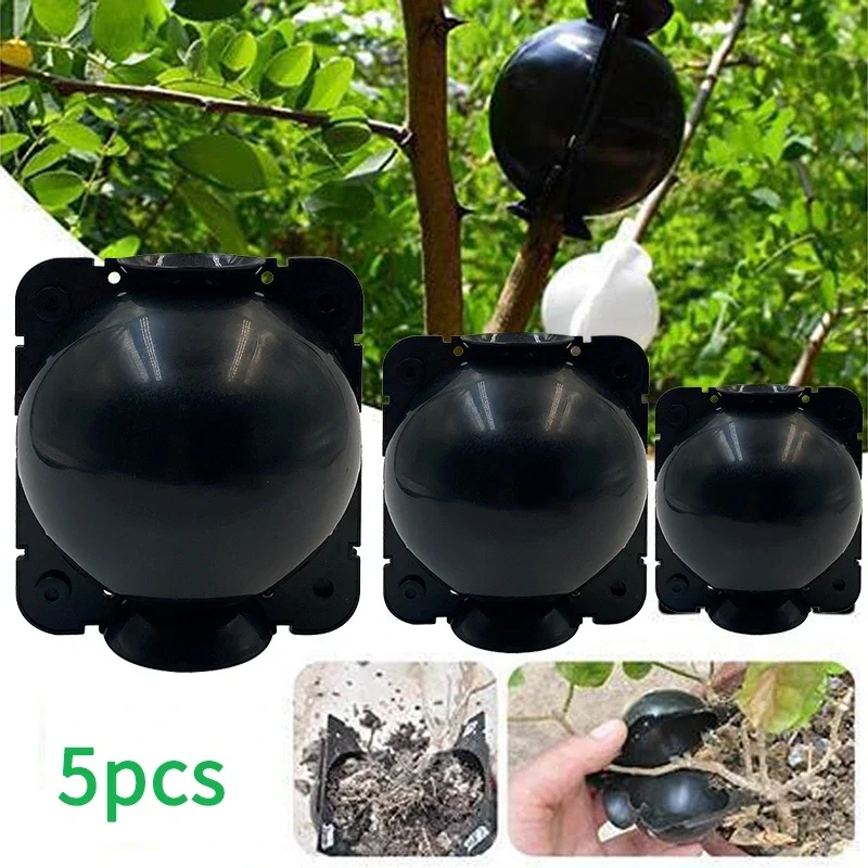 5pcs Reusable Plant Rooting Ball Cutting Grafting Rooting Ball Sapling Propagation Breeding Box Garden Plant Root Growing Box