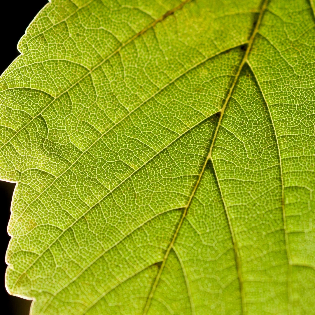 Car Radio Ac Panel … - image