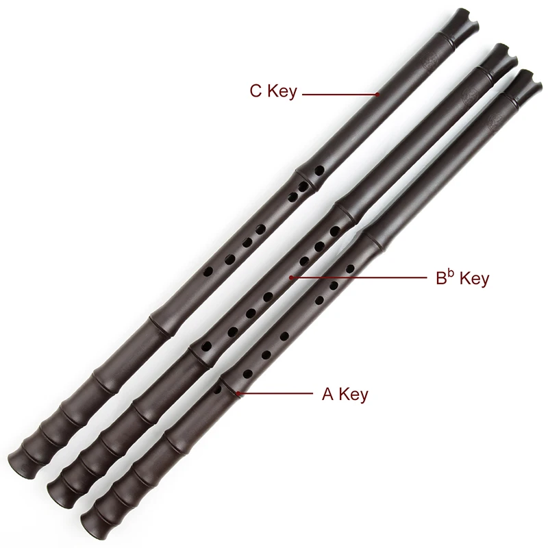 

Dong Xiao Plasitc 3 sections A/C/Bb Key Eight Hole Flute With Bag Portable Professional Performance Musical Instrument