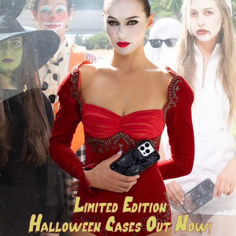 حافظة لهاتف آيفون 16 15 14 13 12 17 Pro Max Plus Air Cobweb أسود WF غطاء مقاوم للصدمات #6