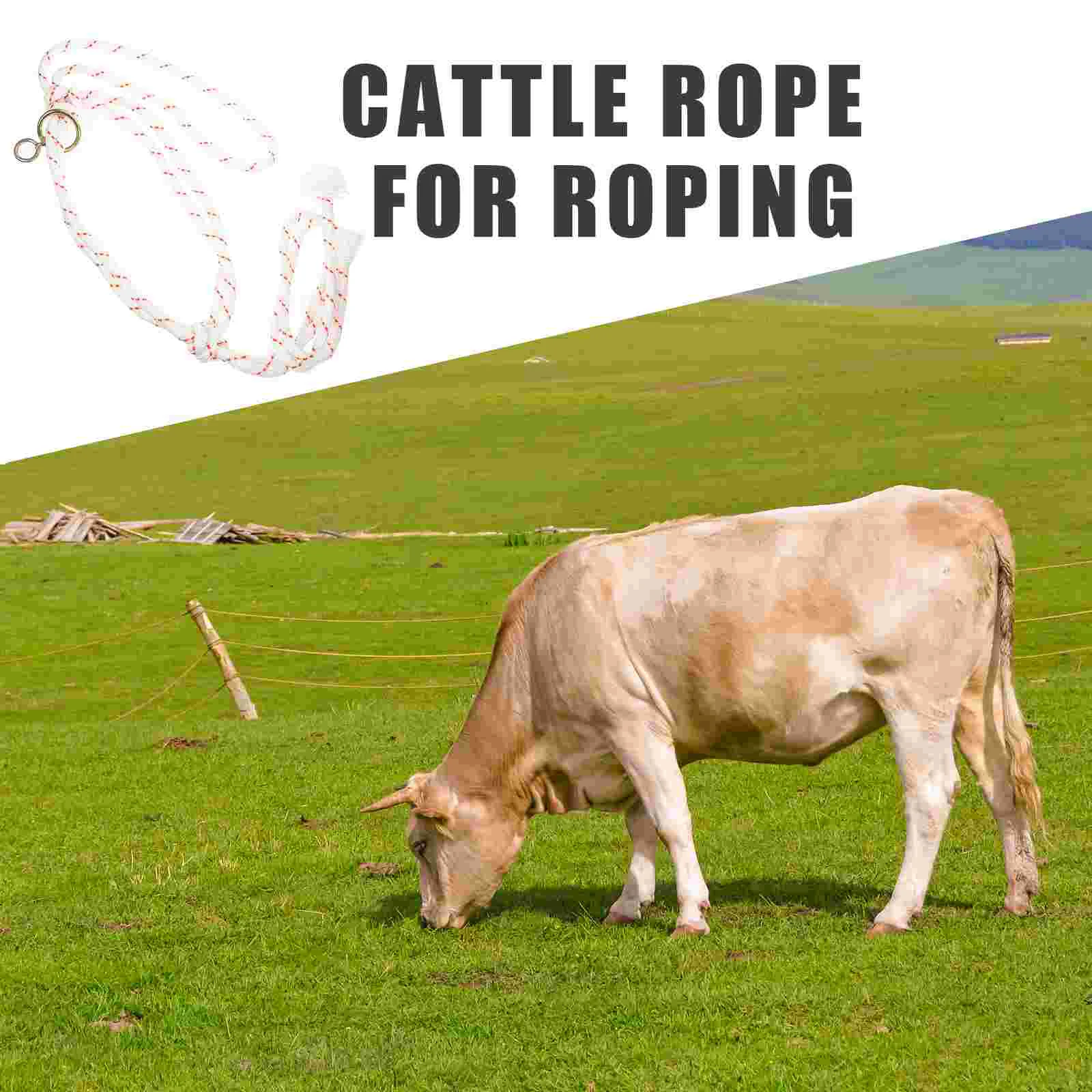 Halter for Cattle Rope Halter Portable Cattle Head Bridle Lightweight Cattle Halter Accessory