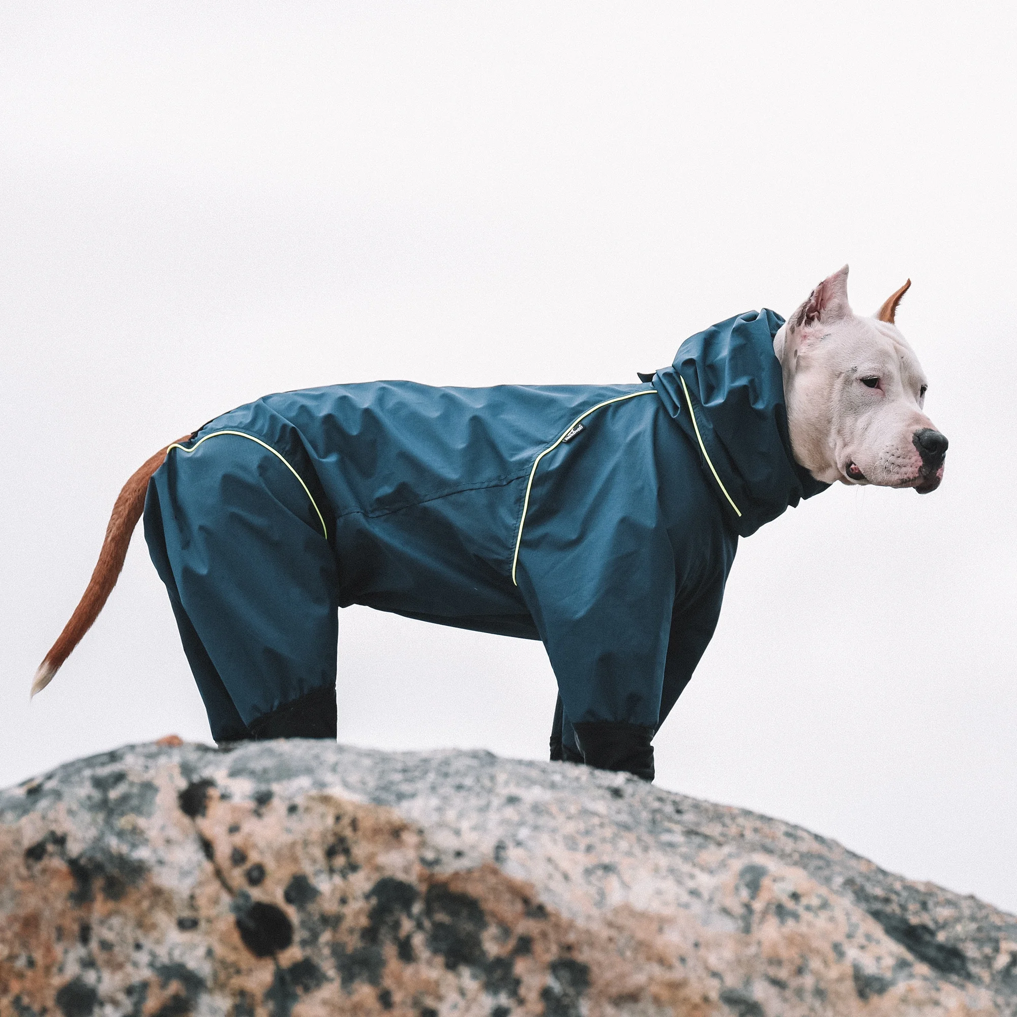 Wonderful Outdoor For Dog Using Rain Coat Waterproof jacket  Four Feet Rain Coat Dog