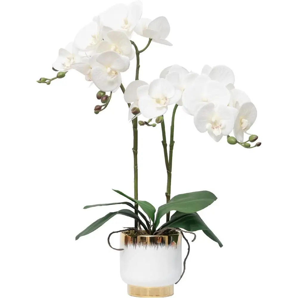 

20 белых орхидей фаленопсис в керамическом горшке, искусственные цветы из шелка Real Touch для декора дома или отеля