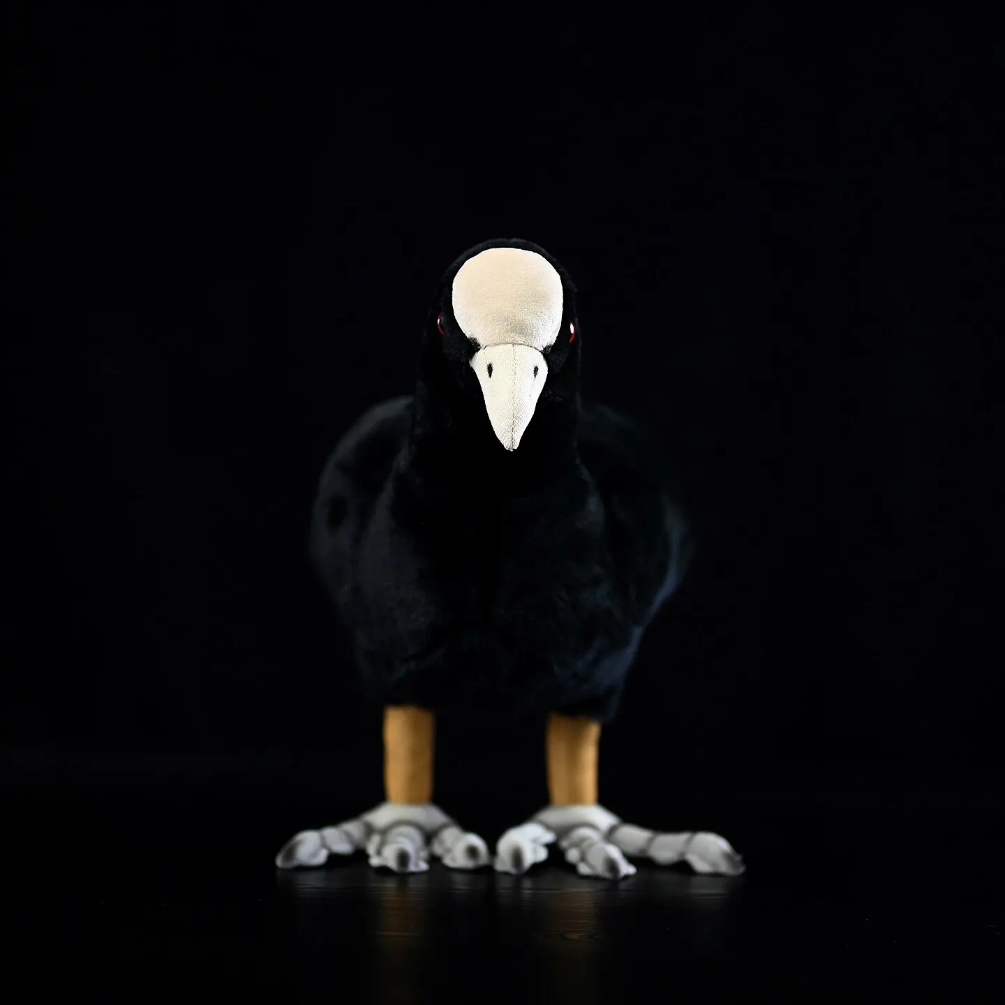 Eurasian-Coot,coot, cute white-crowned chicken Knickknack,nicknack,Small ornaments and miniature models