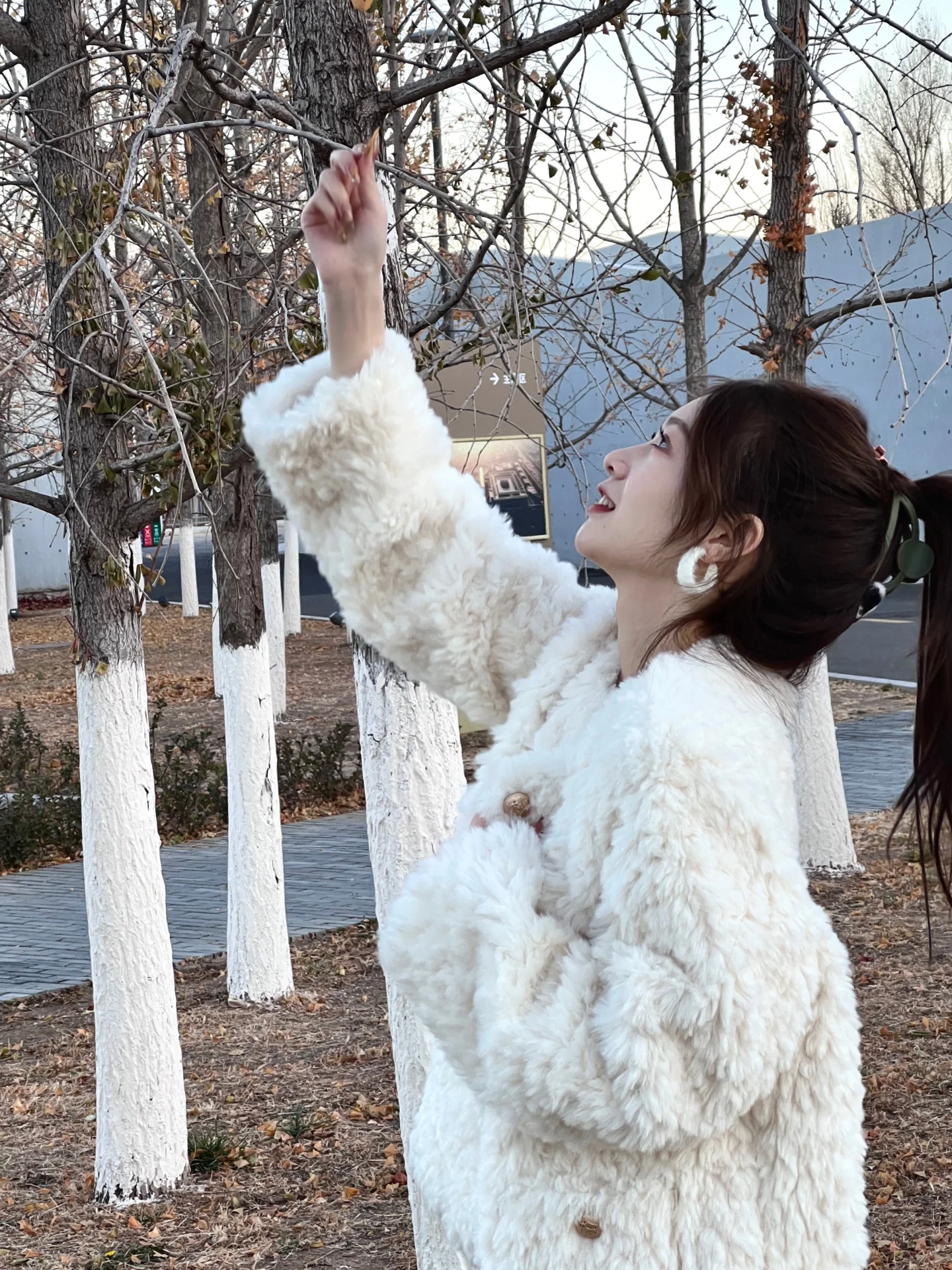 

Lamb Wool Jacket Female Clothing Woman Sherpa Fleece Detail Cuffs Embellished Canvas Simple Button Through Style Fancy Solid Ins