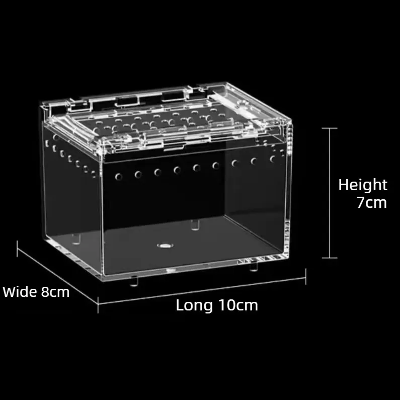 Reptiles Terrarium Lizard Gecko Snake Transparent Breeding Box Anti-escape Breathable Reptile Kennel Small Pet House Habitat view 3