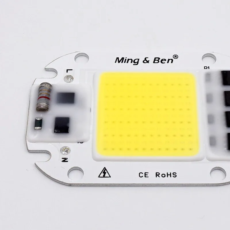 LED COB lampada Chip Smart IC 20W 30W 50W AC 110V 220V LED perline per fai da te LED coltiva proiettore lampadina accessori faretto giorno bianco