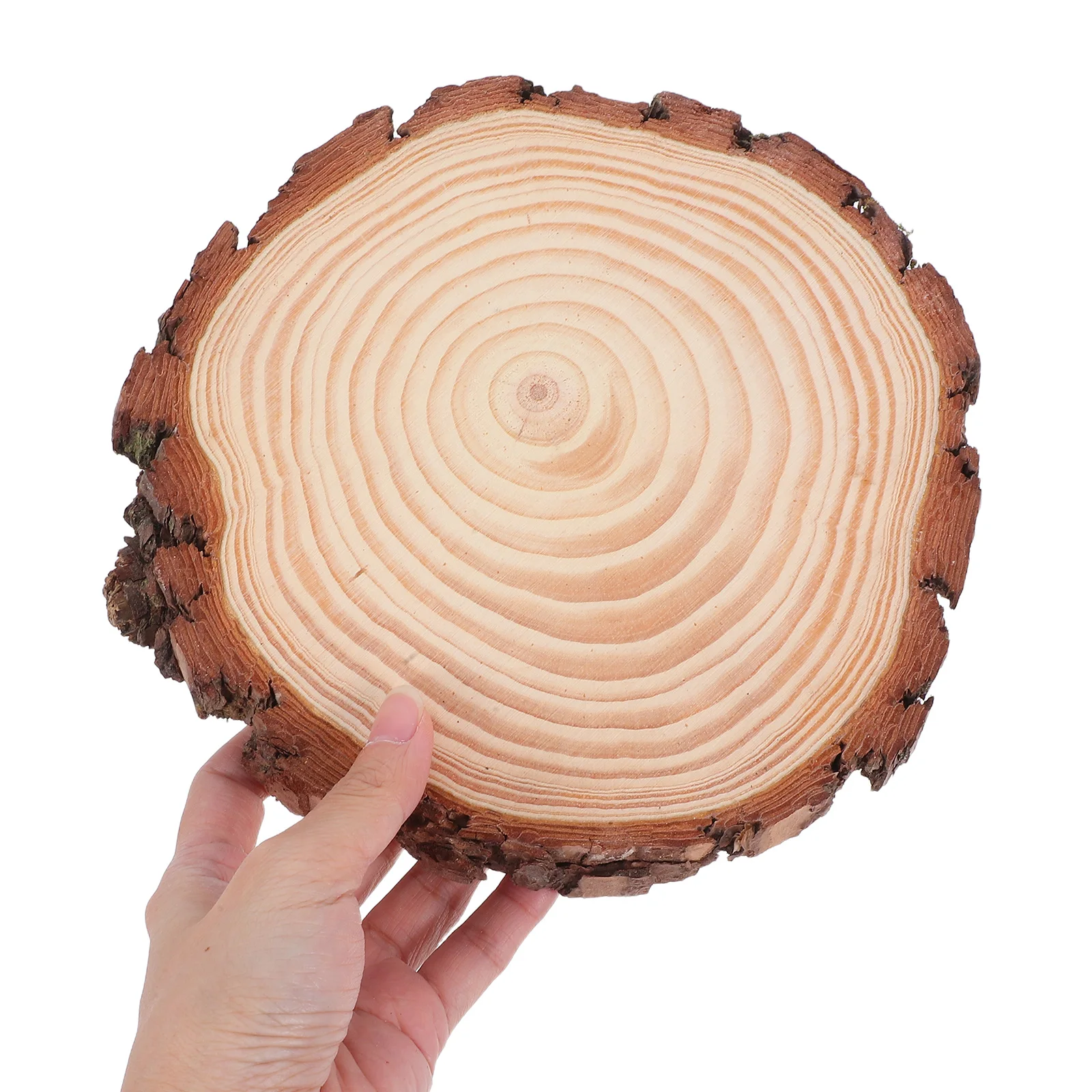 

2 Pcs Wooden Slices with Bark Round Display Rustic Log Chips Ornaments Small Unfinished Natural