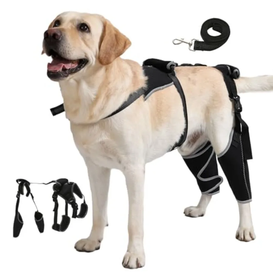 

Dog Knee Brace with Adjustable Support Acl Hind Leg for Support with Cruciate Ligament Injury, luxating Patella, Arthritis, Dog