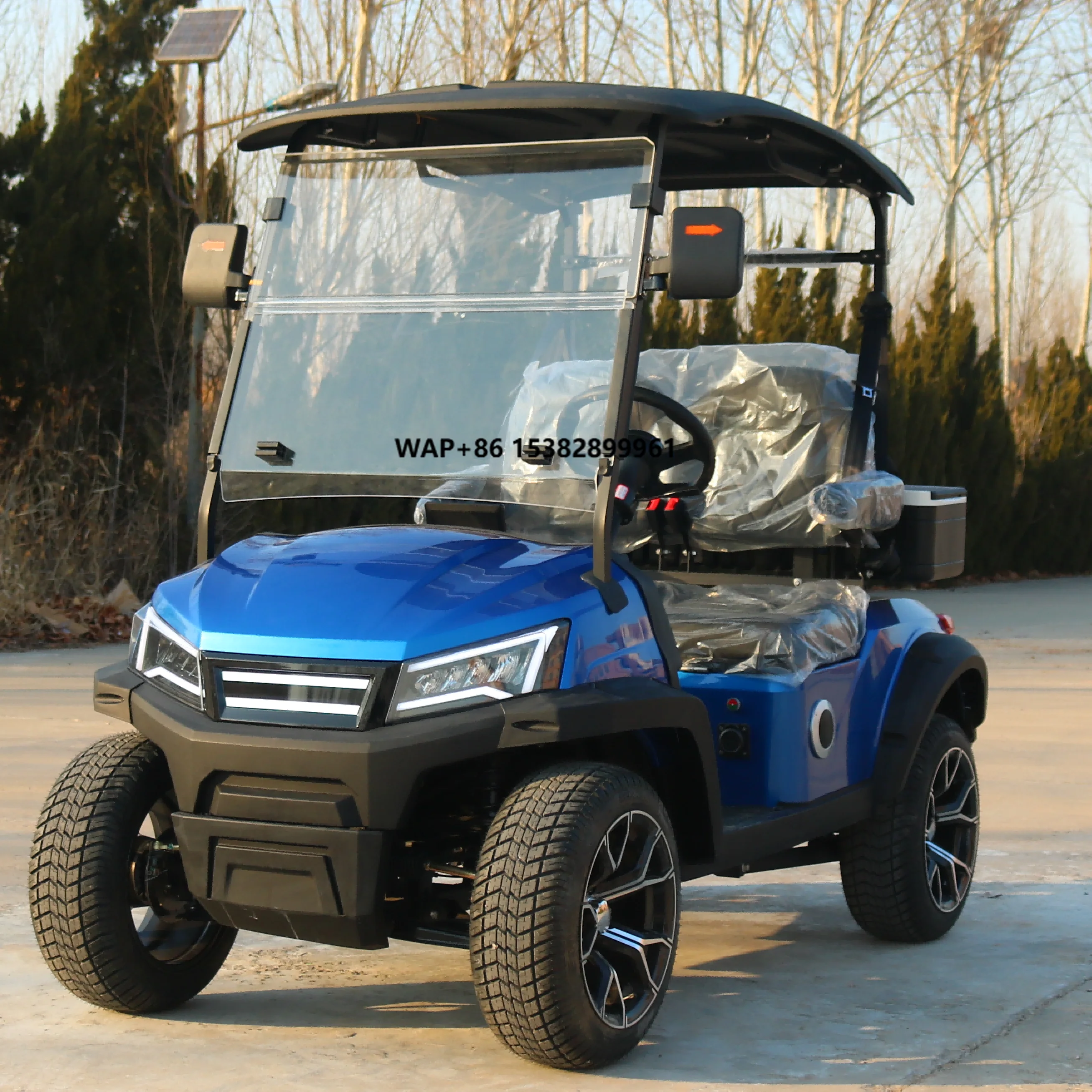 Comfortable Big Seat 2 Seat Electric Golf Cart for Elderly and Disabled with 30-50Km/h Speed & 90km Range Customizable Color