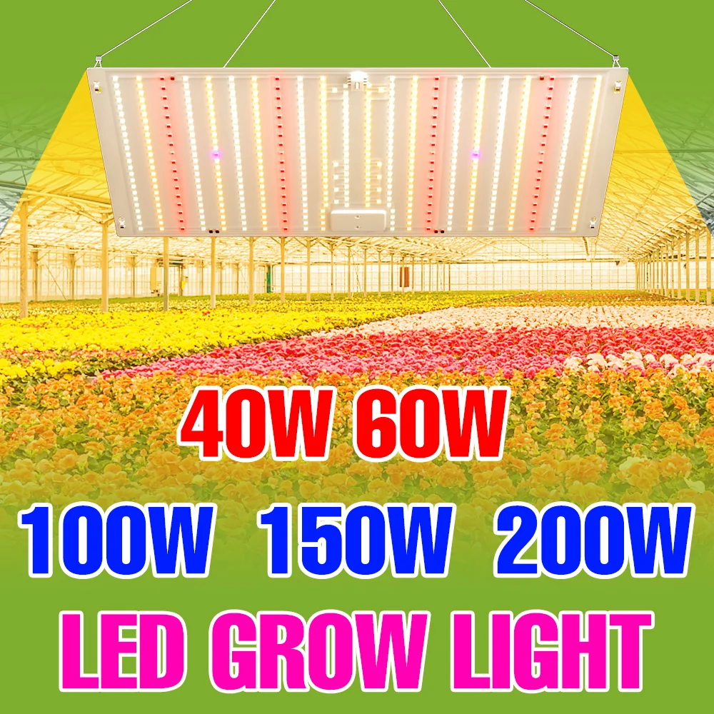 

200 Вт светодиодные лампы полного спектра для выращивания растений 220 В квантовая доска заполняющая лампа для растений теплица гидропонные лопасти комнатное освещение для выращивания цветов