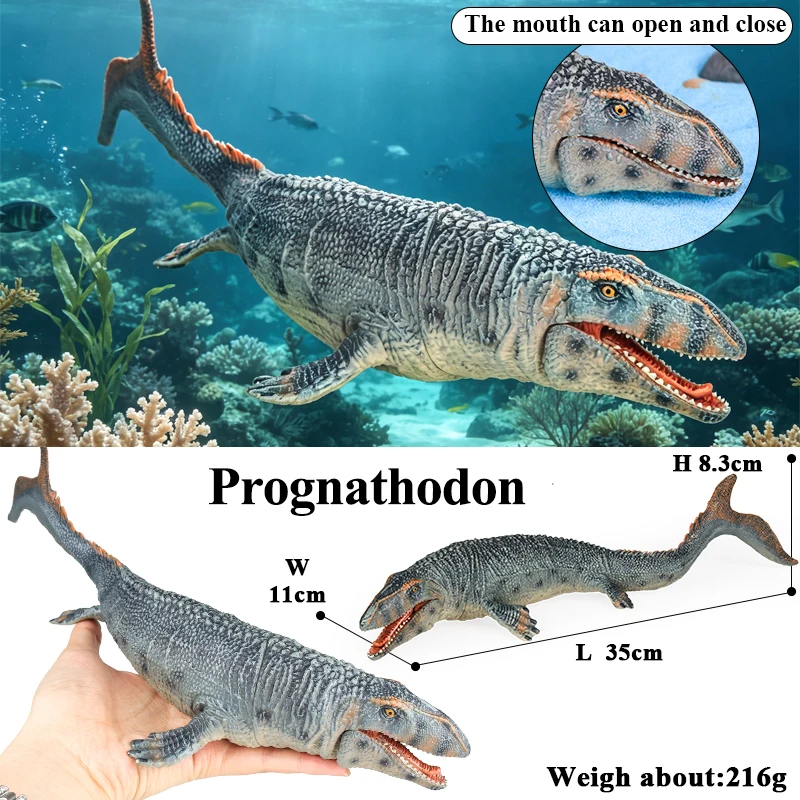 Oenux 新しいシーライフ動物モデル先史時代モササウルス Liopleurodon