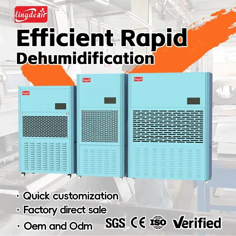 Lingde Units Large Systems Cabinet Semiconductor Strength Dehumidification Heavy Duty Hire Price Room Marine Dehumidifiers