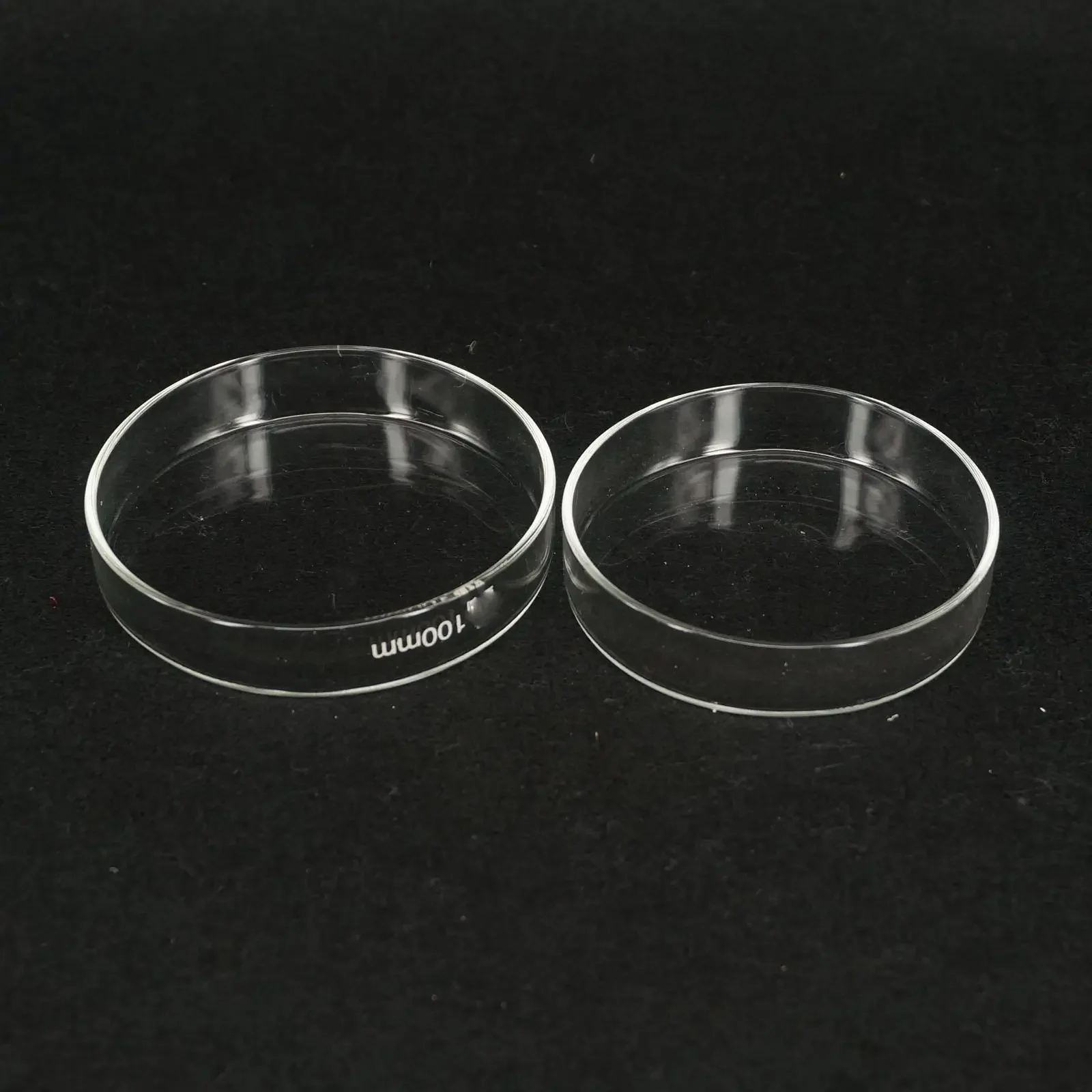 100mm Borosilicate glass Petri culture dish For Chemistry Laboratory Bacterial Yeast