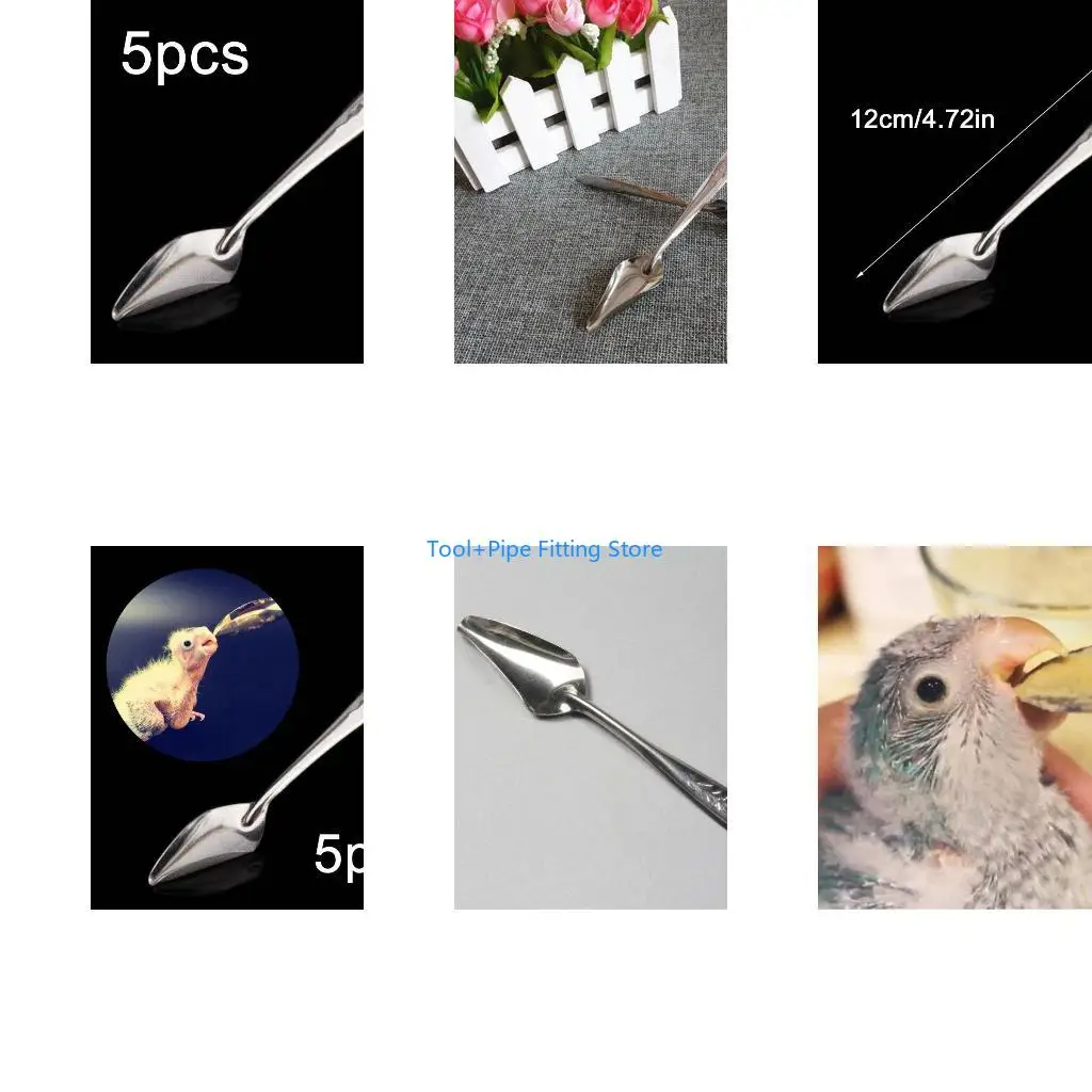 F92B 5 Pack Parrot Feeding Spoon Stainless Steel Feed Water Milk Feed Spoons