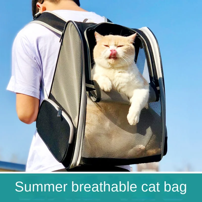 Cat Carrier Backpack Summer Breathable Cat Bag Pet Out Carrying Bag Carry Dog School Bag Puppy Carrier Transparent Large Space