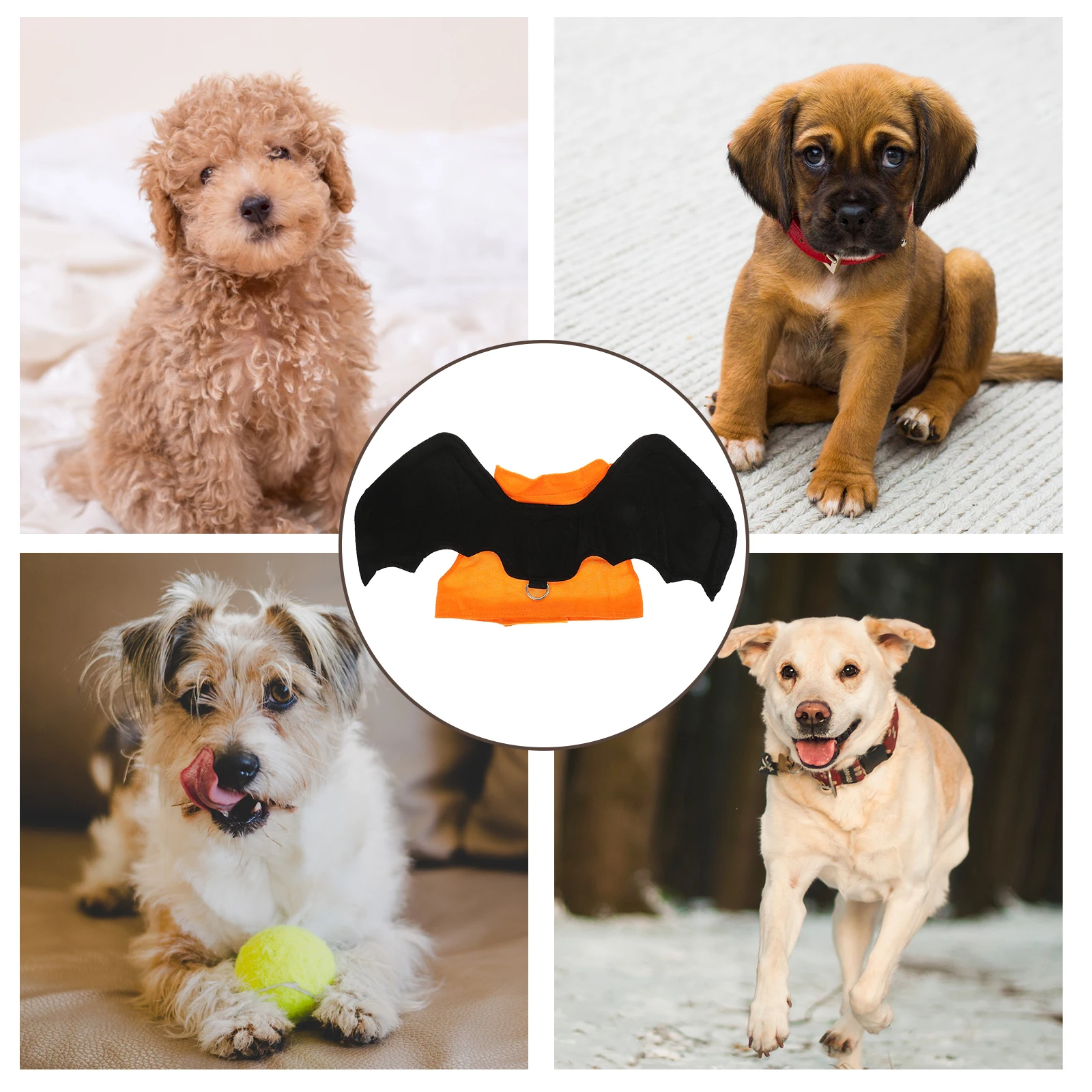

Creative Bat Wing Dog Costume Halloween Pet Clothing Foldable Cat Party Supply Premium Material Adorable Design Daily Wear