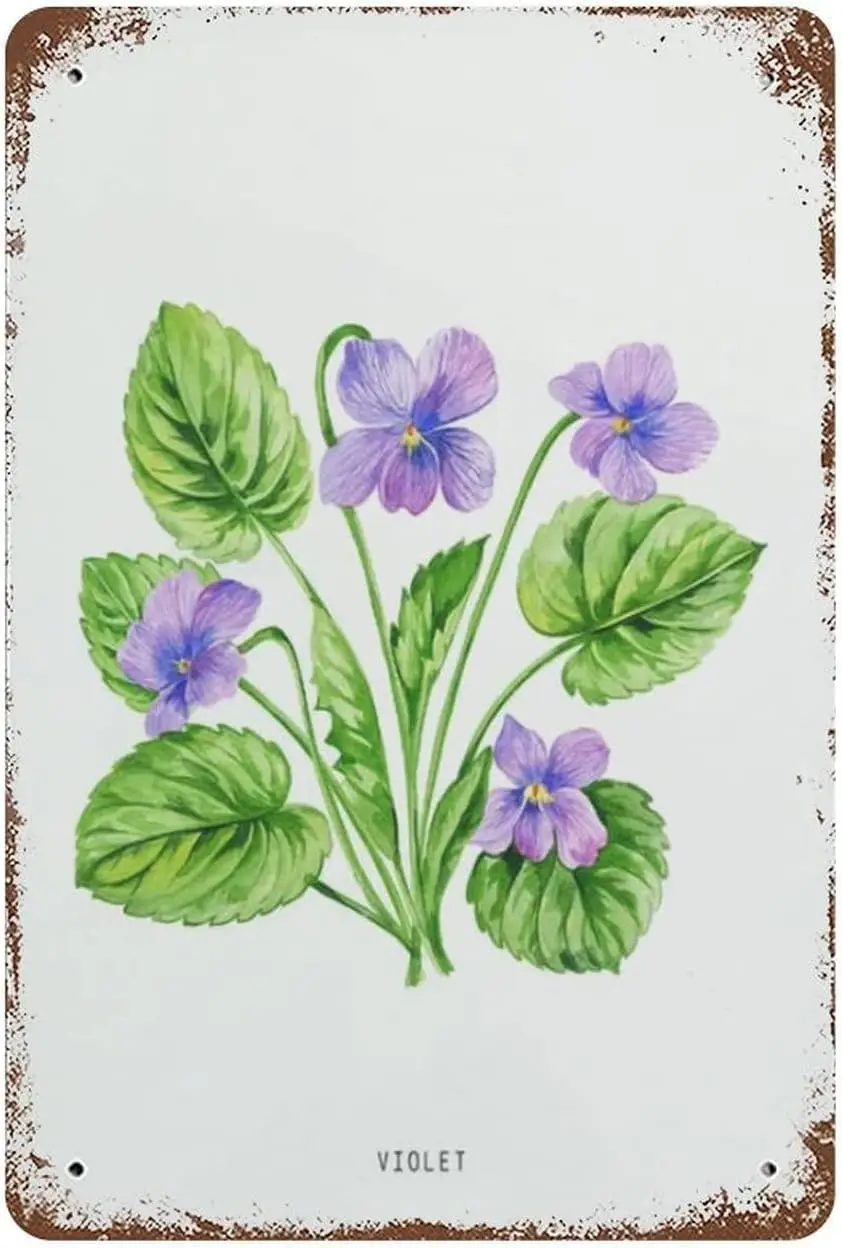 Violet Flower Metal Tin Sign Vintage Home Decor Funny Tin Signs Wall Art Decor Plaque For Novelty Kitchen Bar Club Garage G sign