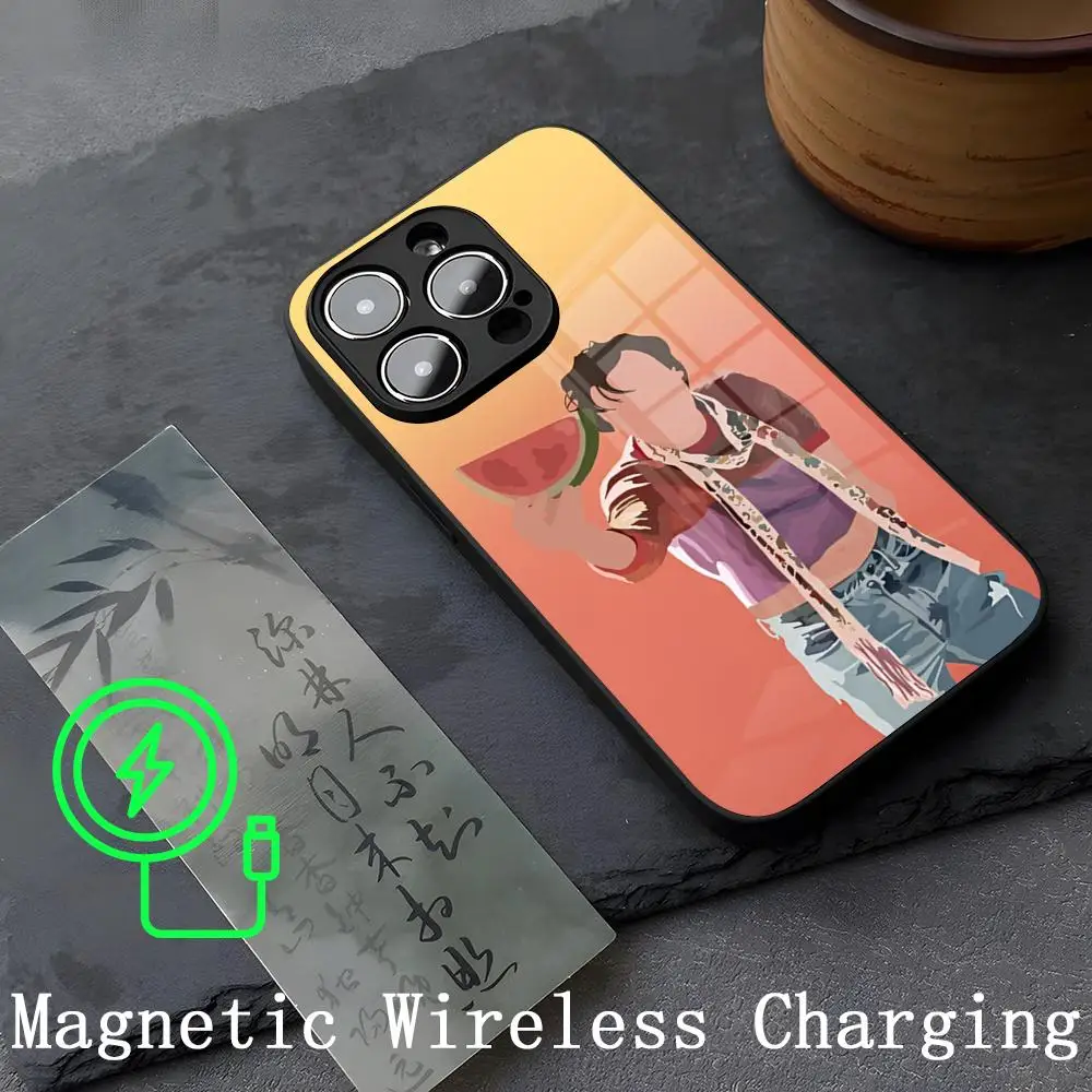 Singer H-HaRRy S-Styles Strong Magnetism Glass For iPhone 16ProMax 14 15 13 12 15 11 Pro Max Plus Mini Coque