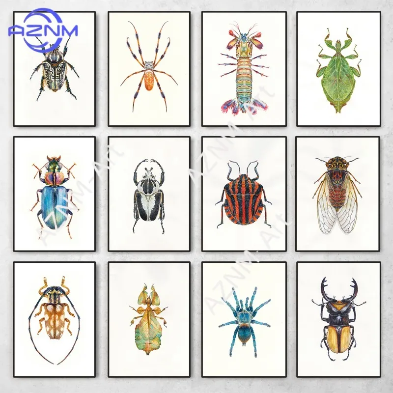Insect Beetle Collection Retro Poster Spider Fly Canvas Painting and Prints Wall Art Picture for Living Room Home Decoration