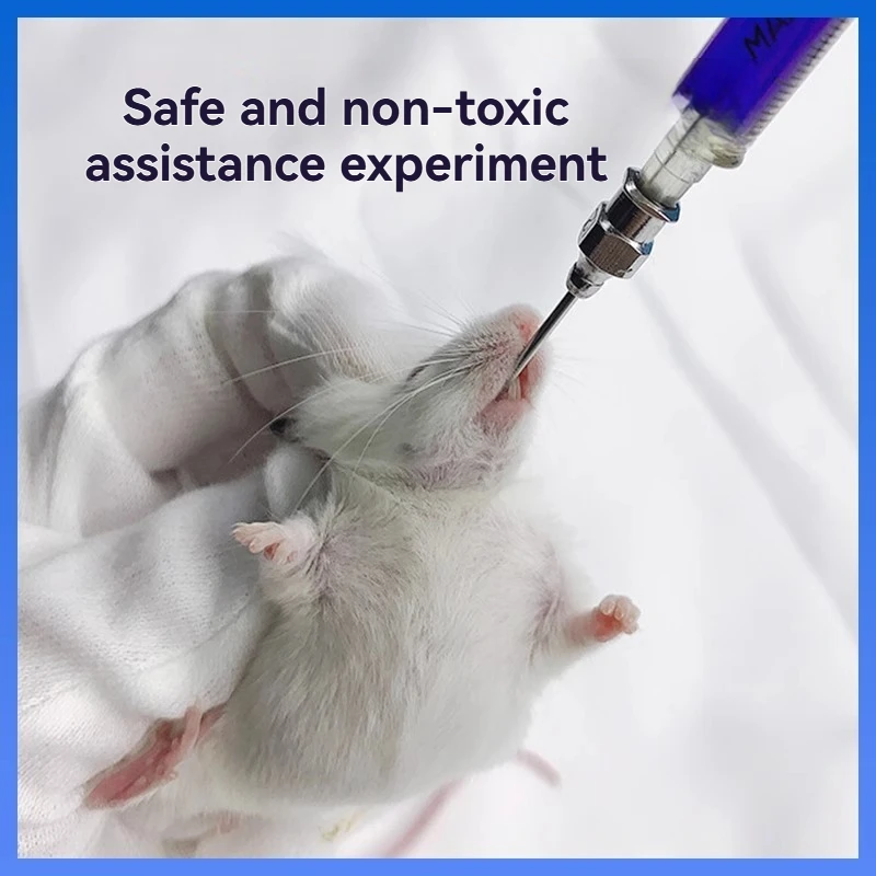 Metal gavage needle, stainless steel gavage tube for young mice and birds, feeding needle tube for young mice and birds