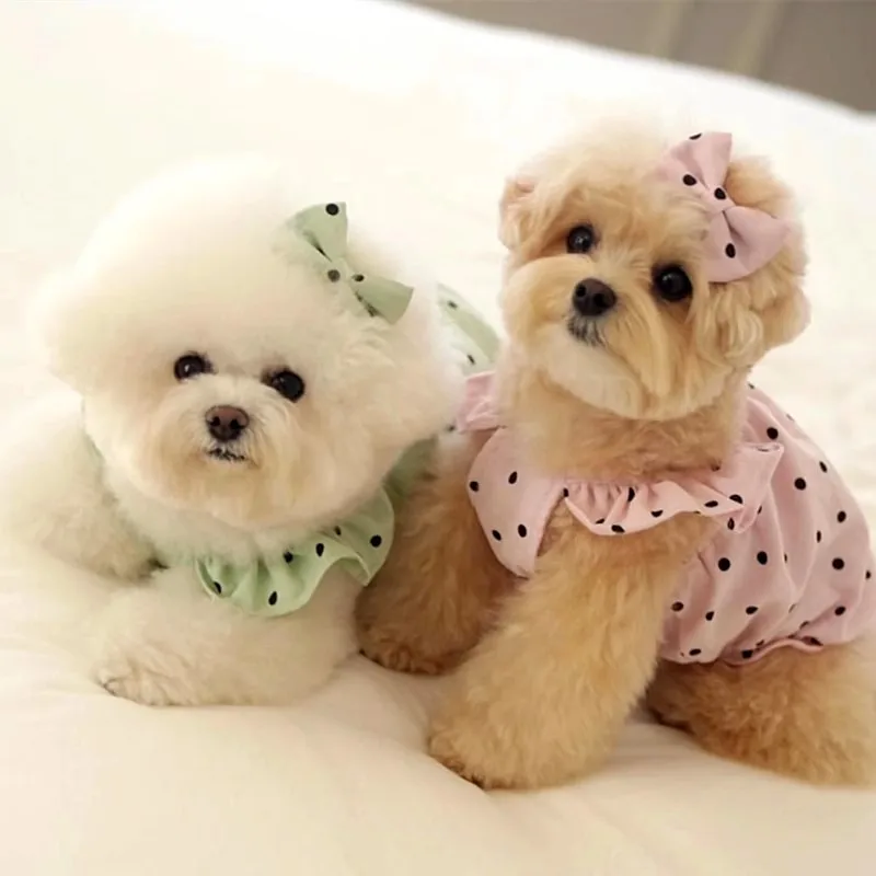 Summer Dot Pet Suspenders Dog Dress Luxury Puppy Skirt Chihuahua Bichon Small Dog Vest Dog Apparel Cat Clothinggirl Dog Clothes view 4