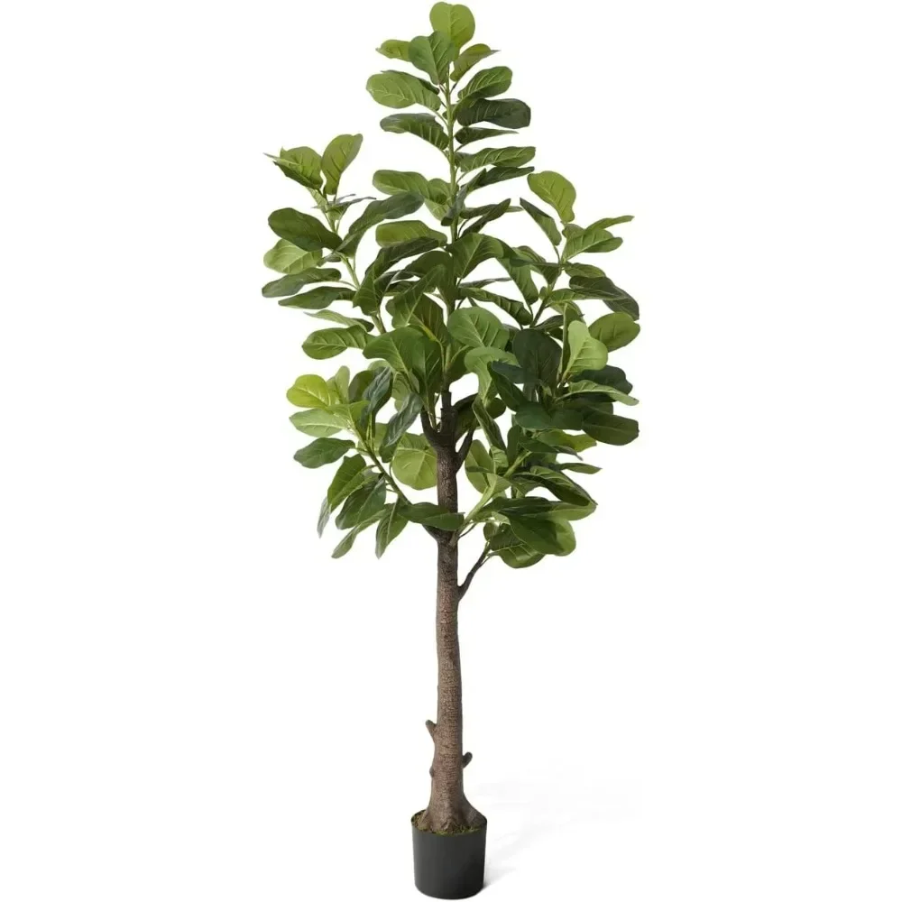 

Fiddle Leaf Fig Tree, 6/7 Feet in Pot with Dried Moss, for Indoor House Home Office Store, for Housewarming