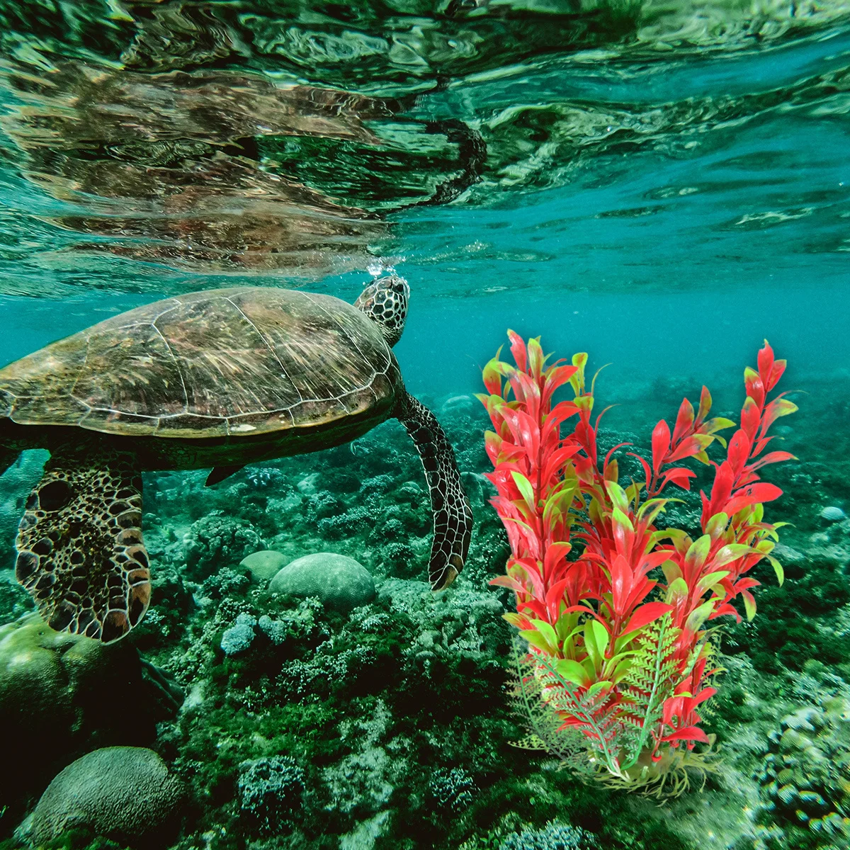 

25Cm Red Artificial Water Grass Decoration Aquarium Ornament Lifelike Micro Landscape Ceramic Base Durable Ornament For Fish