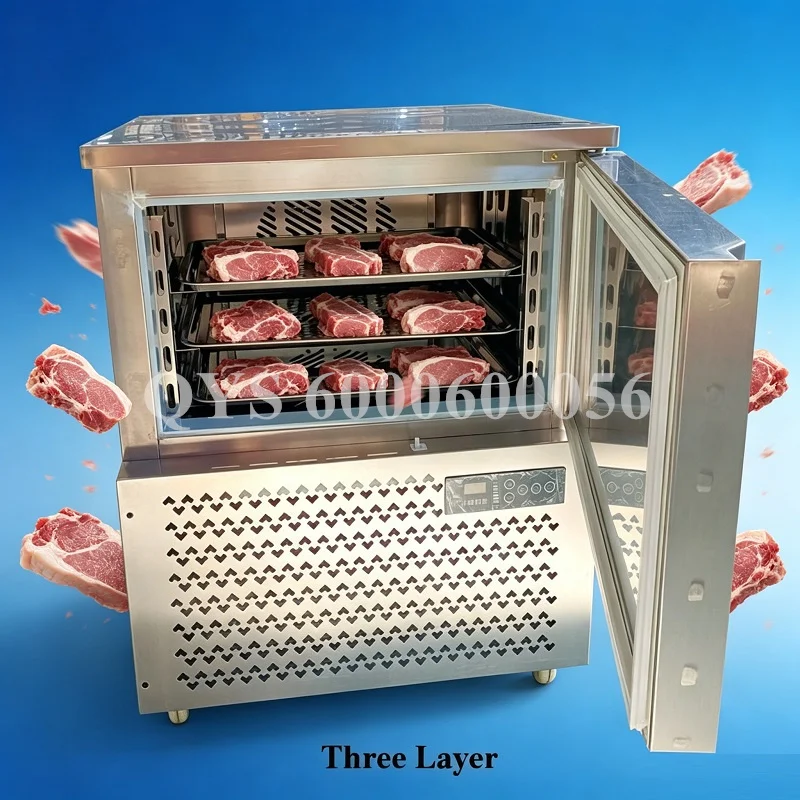 

Commercial Quick Blast Freezer -40℃ Cabinet for Meat Fish Vegetable 3/6/8/12 Tray Air-Cooling Low-Temperature for Sea Cucumber