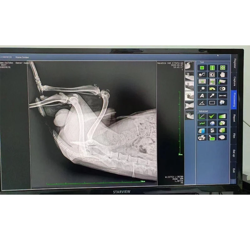 Veterinary X-ray  Device DR Machine  Generator Digital Radiography Vet Equipment for Human & Pets