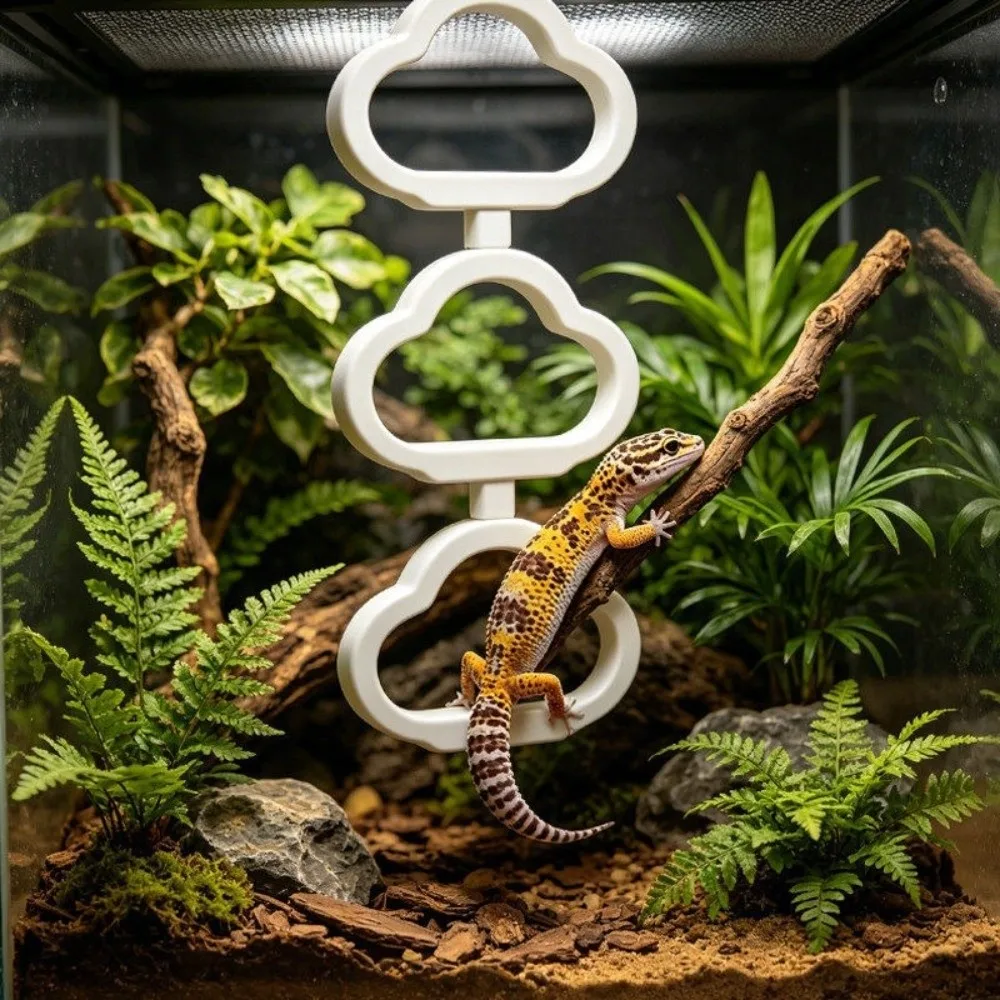 Plastic Hanging Reptile Climbing Ring Exercise Cloud Shape Climbing Hoop Chain magnetic Multi-Level Snake Climbing Toys