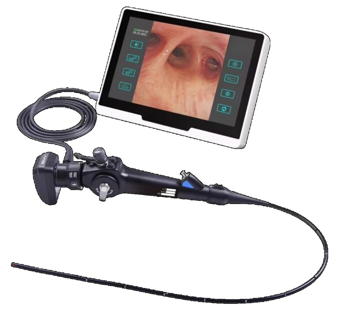Portable Endoscopy Veterinary Full high definition 1080p Integrated ENT/Laparoscopic/Urology Pet Dog Cat Endoscopy