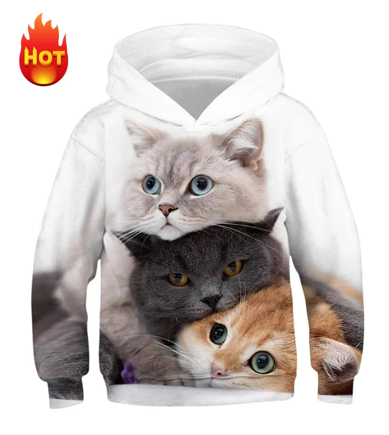 New Sweet Fashion Men Boys Sweatshirt 3d Print Cute Animal Cat Foxs  Graphic Hoodies New Harajuku Y2k Personality Men Clothing