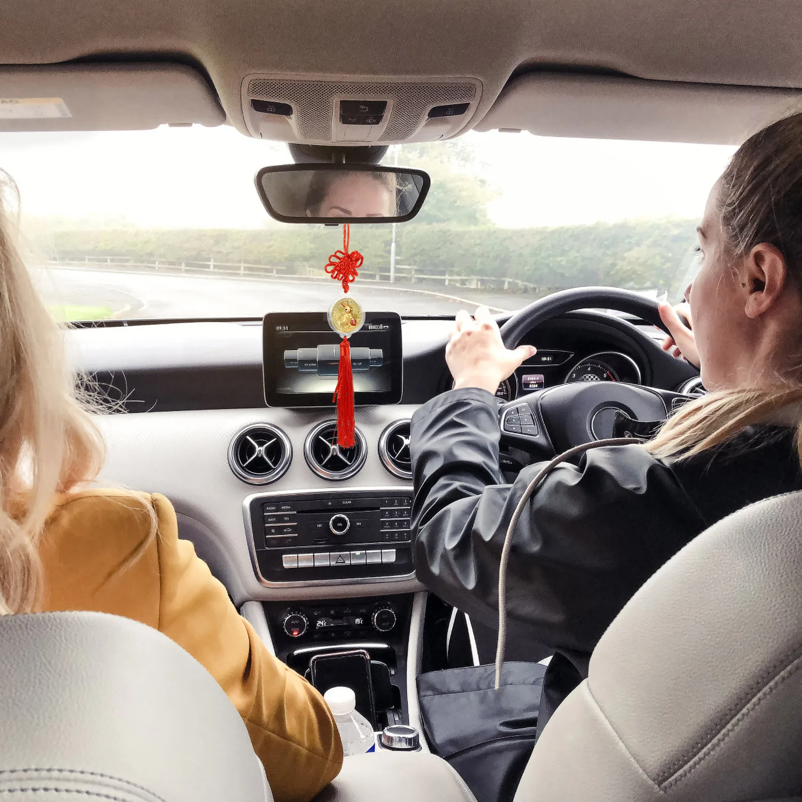 Рисунок 5 - Год кролика, декор автомобиля