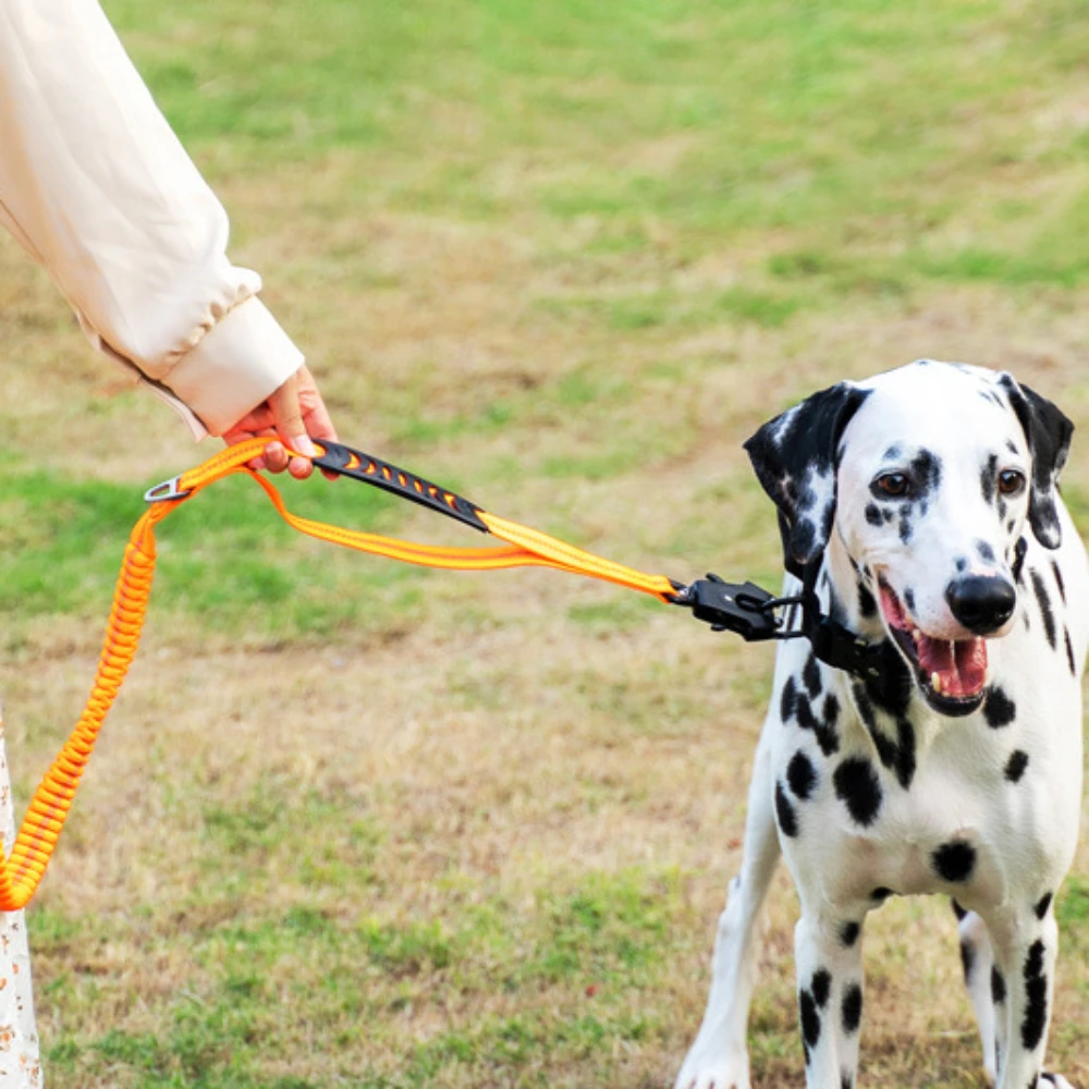 Pet Explosion-proof Impact Medium and Large Dog Leash Frog Buckle Shock Absorption Training Dog Pet Supplies Dog Leash