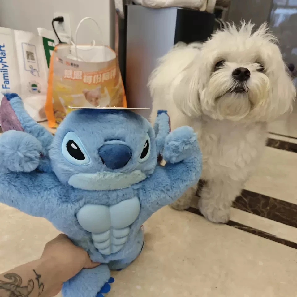 Disney Gigli point jouets pour animaux de compagnie Figure d'anime édition limitée drôle dentition Durable grinçant mâcher enrichissement chien jouet chat Teaser baguette