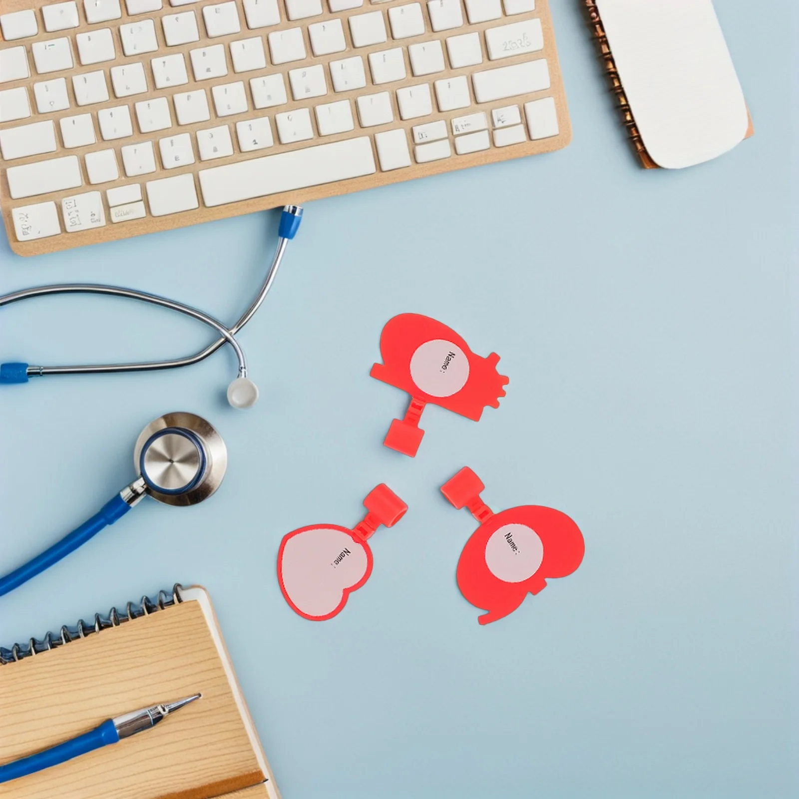 

12Pcs Stethoscope Identification Tags Plastic Internal Organ Style Medical Name Tags Doctor Use Stethoscope Nameplate