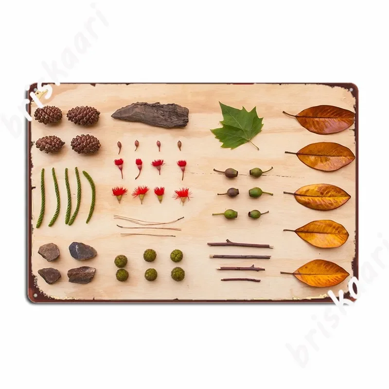 Мельбурн Парк Исследование Металлическая Табличка Плакат Клубная Вечеринка Домашний Дизайн Живопись Декор Оловянная Вывеска Плакат