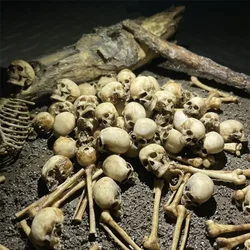 Faux Skeleton Bone Model Lizard Pet Cabinet Decoration Halloween Home Decor Mini Aquarium House Aquarium Decoration 1:12