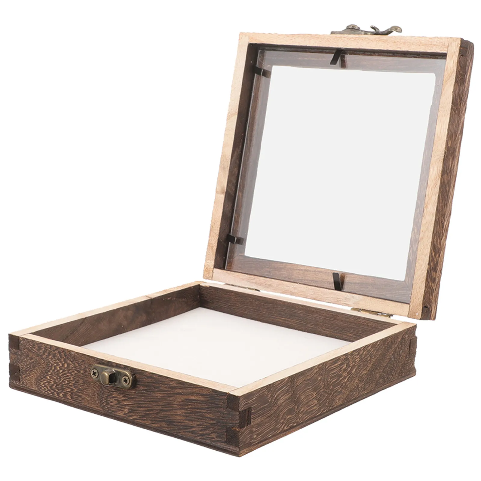 Vintage Specimen Display Box Wooden Base Acrylic Lid Insect Plant Butterfly Dried Flower Jewelry Coin Case