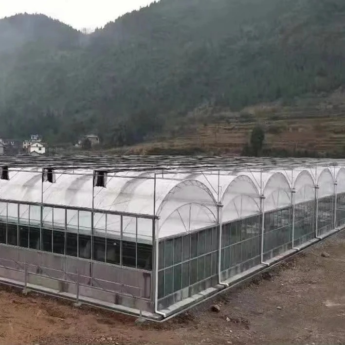

Customized greenhouseHydroponic System Polytunnel House Plastic Film Tomato Multi-span Agriculture Greenhouse