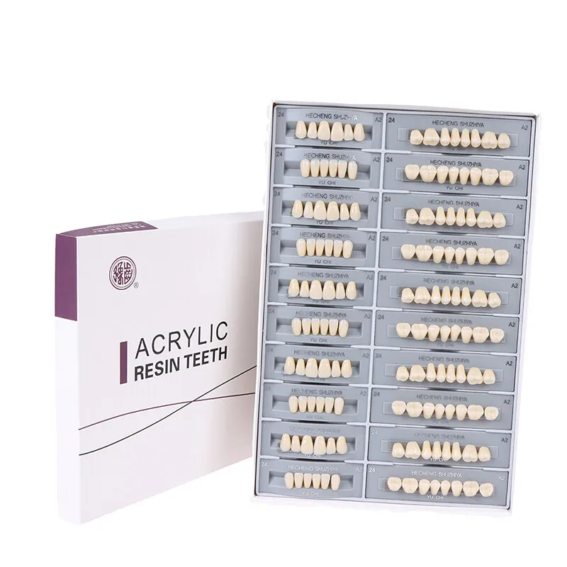 5 Sets/Box Dental Synthetic Polymer Teeth Resin Denture Dental Teeth Model For Oral Dental Defects