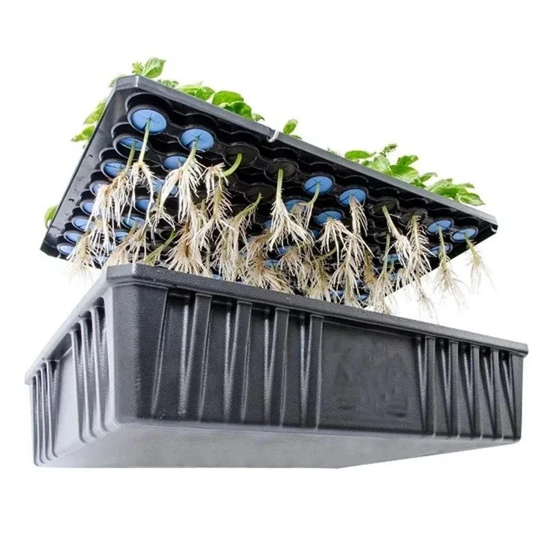 20 stücke 48/70mm Garten Soilless Anbau Kindergarten Schwamm Hydrokultur Syetem Klon Halsbänder Körbe Medien EVA Schaum pflanzung Schwamm – Detail 13