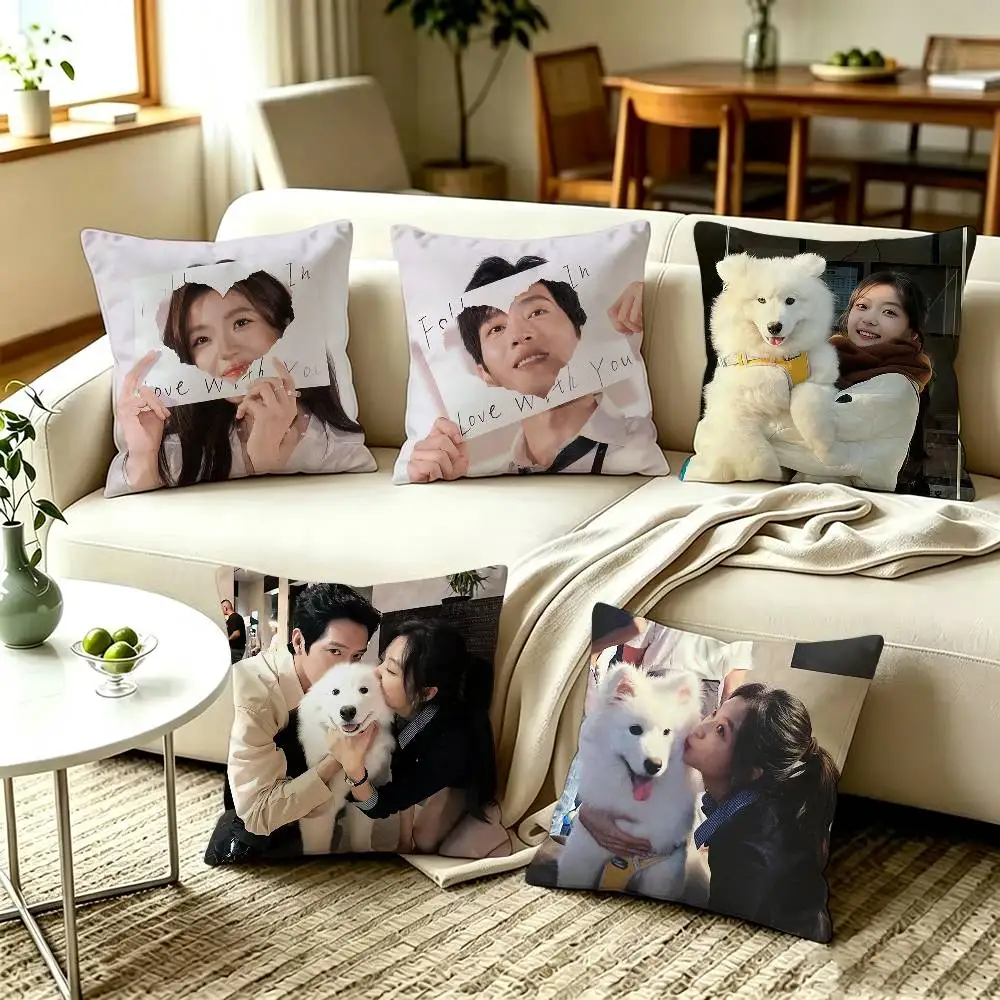 Chinese TV The Early Spring Sun Qian Jing Boran Pillow Cover Sofa Cushion Cover Home Room Decoration Children Gift