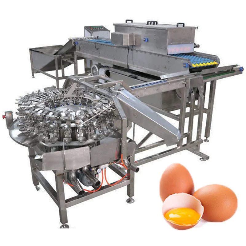 Desktop Egg Cleaning Machine Food Grade Egg Washer for Small Egg Business Easy Disassembly To Clean