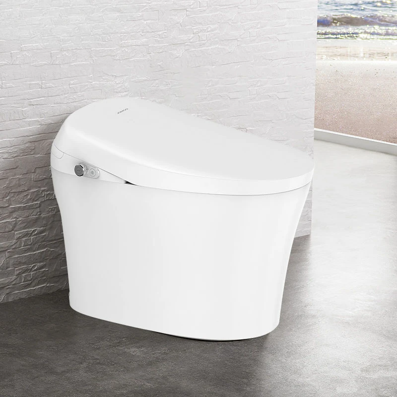 

Auto Flush Heated Cover Smart Toilet Intelligent Bidet Floor Mounted Automatic Ceramic Intelligent Toilets